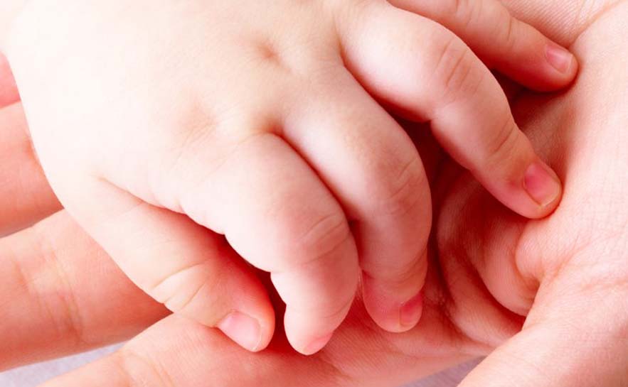 Two hands up close, a child's hand laying in an adult sized hand.